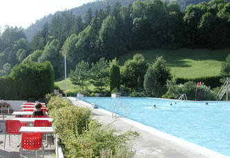 Swimming pool in Chateau D'Oex